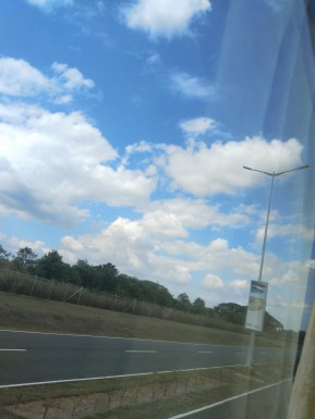 Thai ladyboys for dating / Ladyboys from Philippines for dating