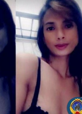 Thai ladyboys for dating / Ladyboys from Philippines for dating