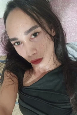 Thai ladyboys for dating / Ladyboys from Philippines for dating