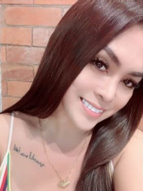 Thai ladyboys for dating / Ladyboys from Philippines for dating