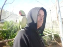 Robert